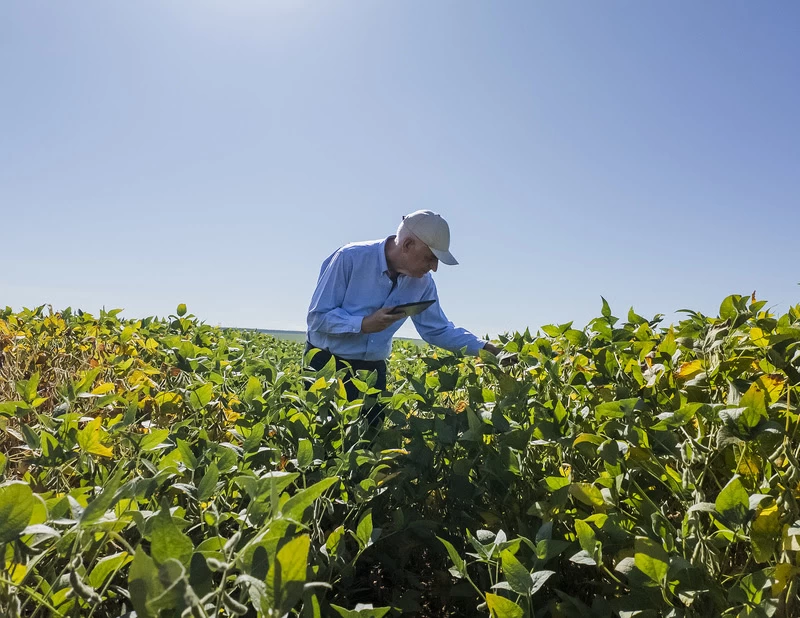 Inoculantes de alta performance elevam eficiência das lavouras e antecipam nova era para a agricultura brasileira